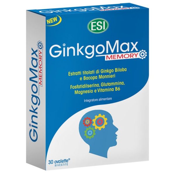 GinkgoMax Memory